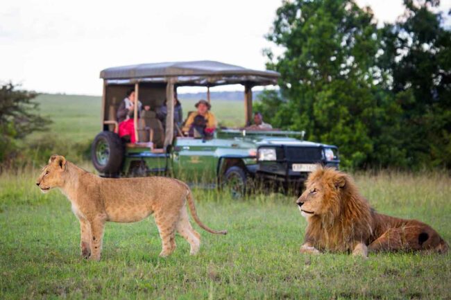 game drives