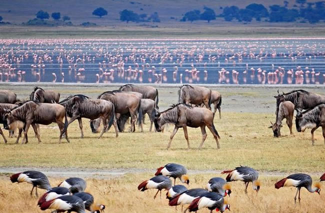 Lake Manyara National Park