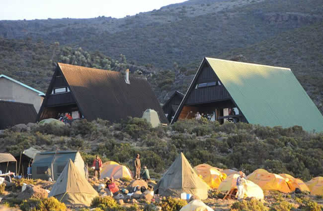 Mandara hut to Horombo hut