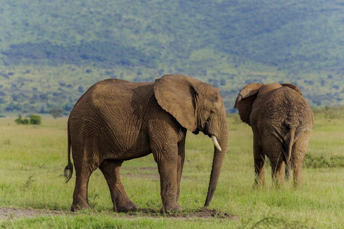 cheap places to visit in Rwanda