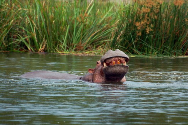 Lakes in Akagera National Park