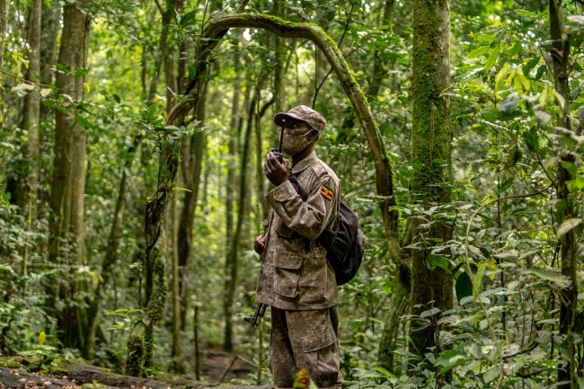 tipping a guide in Uganda